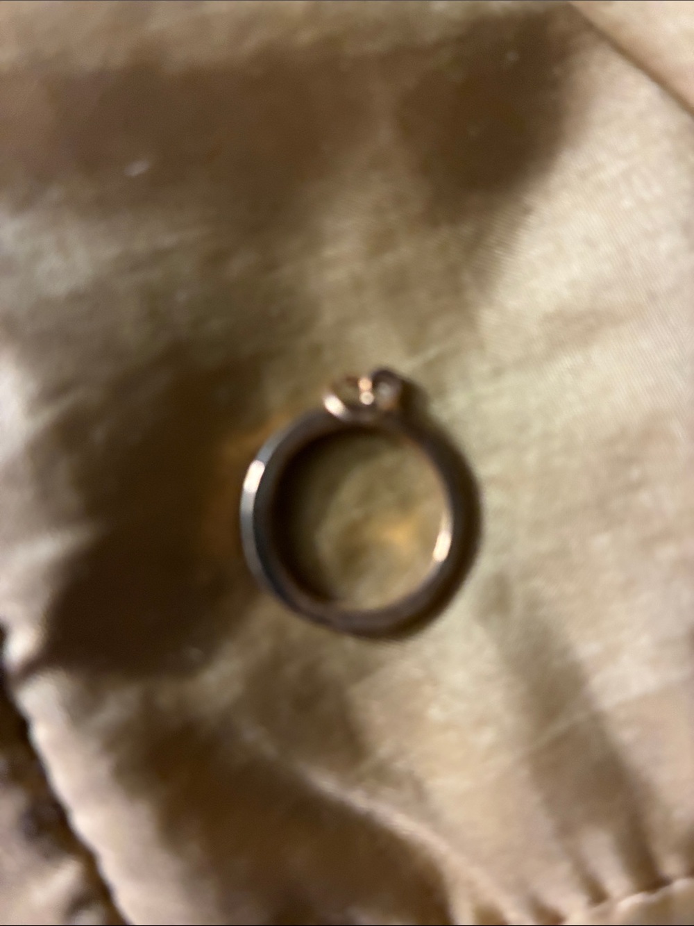 Classic gold tone ear charm